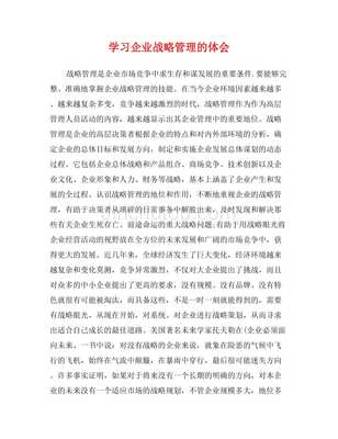 學(xué)習(xí)企業(yè)戰(zhàn)略管理的體會